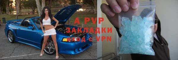сатива Богданович