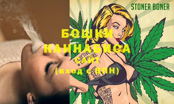 индика Остров
