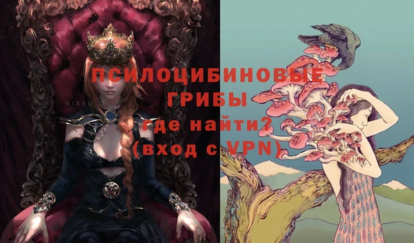 экстази Осташков