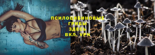 индика Остров