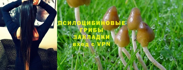 индика Остров