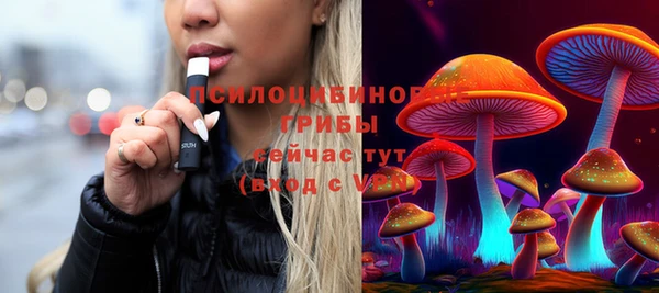 мдпв Няндома