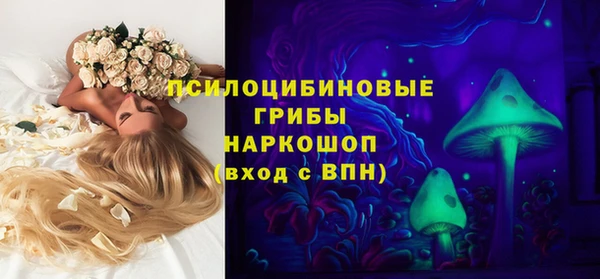 индика Остров