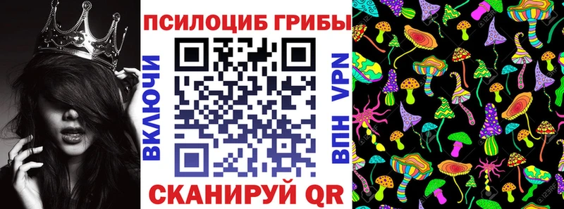 Галлюциногенные грибы GOLDEN TEACHER  наркошоп  Астрахань 
