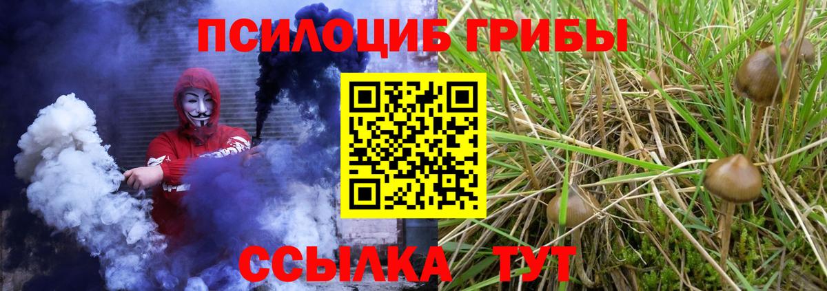 Галлюциногенные грибы ЛСД Астрахань