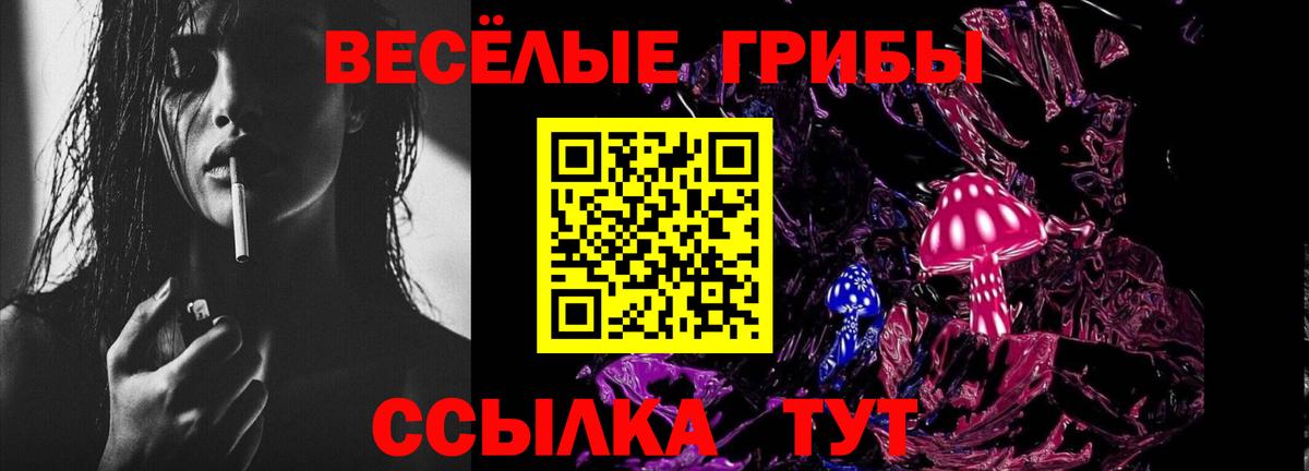 Псилоцибиновые грибы MAGIC MUSHROOMS  цены наркотик  Астрахань  Вход с VPN 